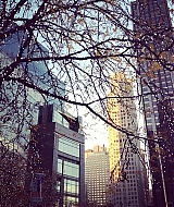 2013-11-21_08_46_32_594094395572853103_298762789.jpg