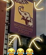 15199059_1827072324240101_5109842267019935744_n.jpg