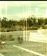 2005-Reeker-507.jpg