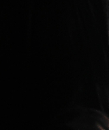 2008-RedMist-0211.jpg
