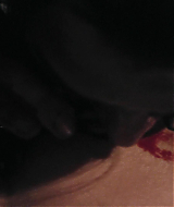 2008-RedMist-1152.jpg