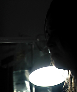 2008-RedMist-1335.jpg