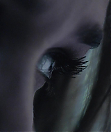 2008-RedMist-1425.jpg