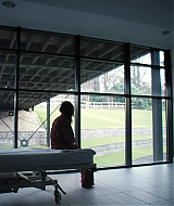 2008-RedMist-1436.jpg