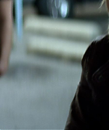 2011-BrooklynBrosBeatTheBest-533.jpg