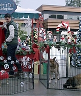 2017-FourChristmasandWedding-0426.jpg