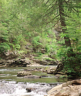 Filename=2023-LoveInTheGreatSmokyMountains-0569.jpg
Filesize=552KiB
Dimensions=1920x1080
Date added=Sep 03, 2023 2023-LoveInTheGreatSmokyMountains-0569.jpg
