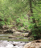 Filename=2023-LoveInTheGreatSmokyMountains-0571.jpg
Filesize=569KiB
Dimensions=1920x1080
Date added=Sep 03, 2023 2023-LoveInTheGreatSmokyMountains-0571.jpg