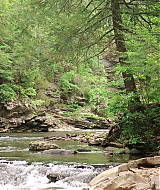 Filename=2023-LoveInTheGreatSmokyMountains-0574.jpg
Filesize=552KiB
Dimensions=1920x1080
Date added=Sep 03, 2023 2023-LoveInTheGreatSmokyMountains-0574.jpg