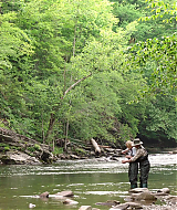 Filename=2023-LoveInTheGreatSmokyMountains-0643.jpg
Filesize=596KiB
Dimensions=1920x1080
Date added=Sep 03, 2023 2023-LoveInTheGreatSmokyMountains-0643.jpg