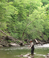 Filename=2023-LoveInTheGreatSmokyMountains-0671.jpg
Filesize=548KiB
Dimensions=1920x1080
Date added=Sep 03, 2023 2023-LoveInTheGreatSmokyMountains-0671.jpg