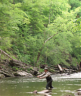 Filename=2023-LoveInTheGreatSmokyMountains-0672.jpg
Filesize=577KiB
Dimensions=1920x1080
Date added=Sep 03, 2023 2023-LoveInTheGreatSmokyMountains-0672.jpg