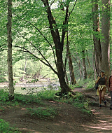 Filename=2023-LoveInTheGreatSmokyMountains-0921.jpg
Filesize=509KiB
Dimensions=1920x1080
Date added=Sep 03, 2023 2023-LoveInTheGreatSmokyMountains-0921.jpg