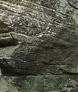 Filename=2023-LoveInTheGreatSmokyMountains-1676.jpg
Filesize=447KiB
Dimensions=1920x1080
Date added=Sep 03, 2023 2023-LoveInTheGreatSmokyMountains-1676.jpg
