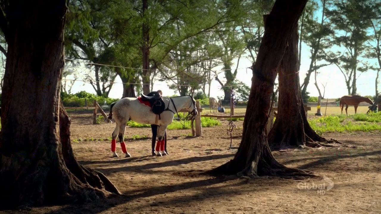 HawaiiFive0-S03E04-056.jpg