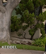 Filename=9-11-S05E11-002.jpg
Filesize=200KiB
Dimensions=1920x1080
Date added=Mar 26, 2022 9-11-S05E11-002.jpg